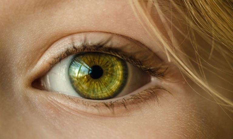 Oczy to jednostkowy organ. To otóż to dzięki nim widzimy.